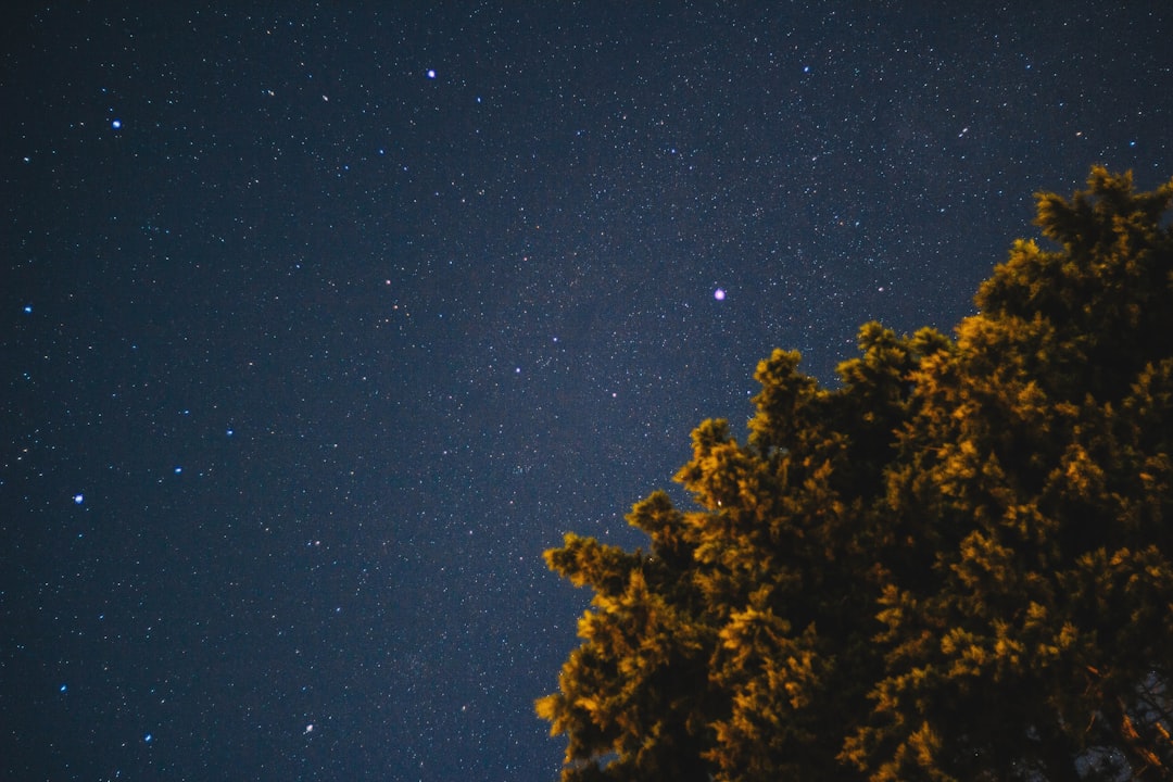 28 Millionen BookTok-Verkäufe in Deutschland — Was die Zahlen nicht zeigen